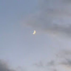 Meet your Posher, Myyaboo